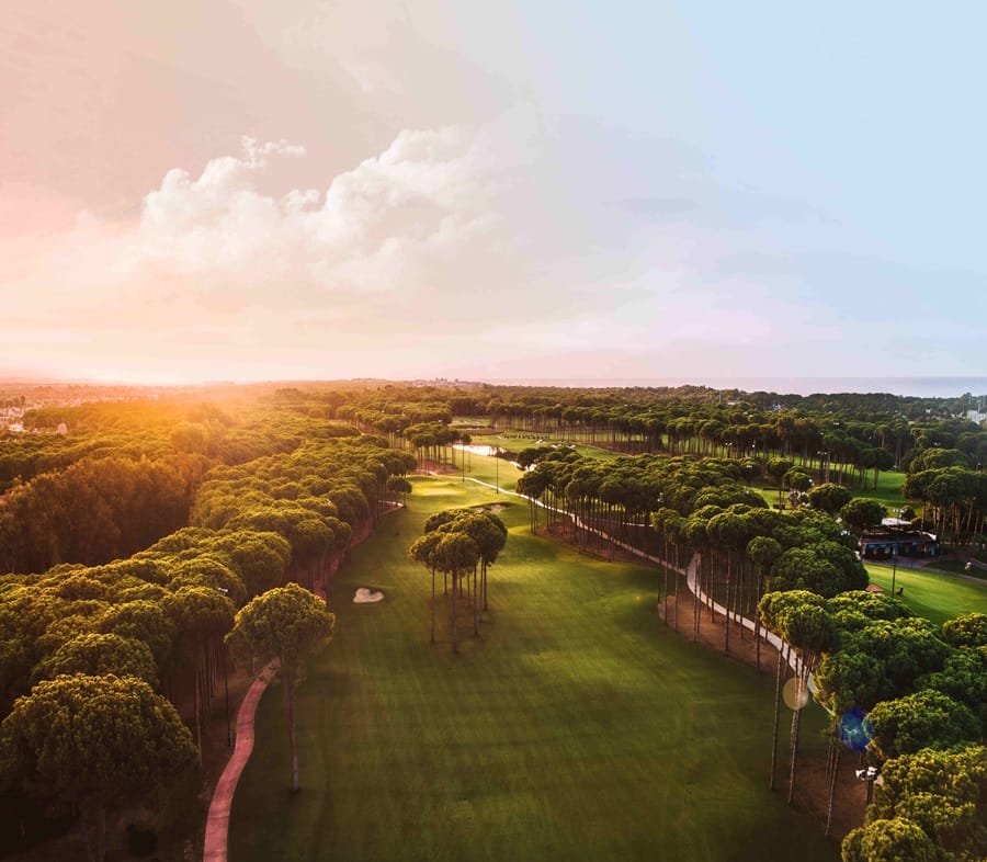 Aerial view of a sunlit golf course with green fairways bordered by tall trees at sunset.",